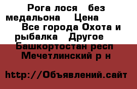 Рога лося , без медальона. › Цена ­ 15 000 - Все города Охота и рыбалка » Другое   . Башкортостан респ.,Мечетлинский р-н